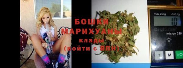 прущие грибы Волосово