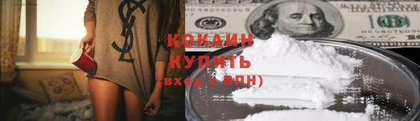 прущие грибы Волосово