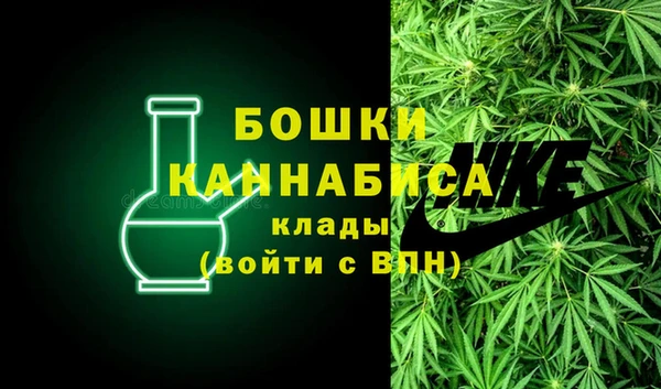 прущие грибы Волосово