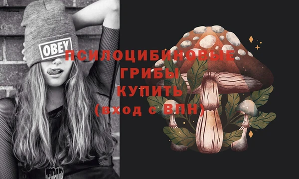 прущие грибы Волосово