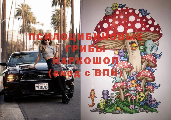 прущие грибы Волосово