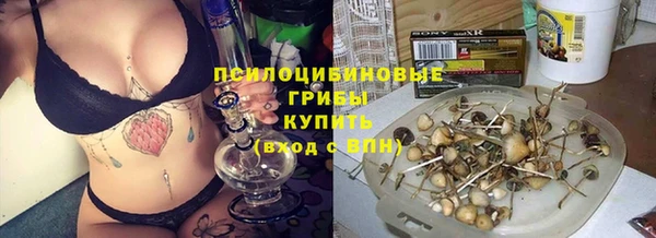 прущие грибы Волосово