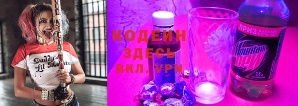 прущие грибы Волосово