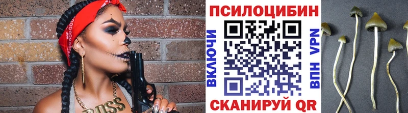 Купить  Костерёво  Псилоцибиновые грибы ЛСД 